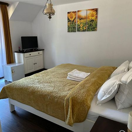 Conacul Muntii Bucovinei Ξενοδοχείο Câmpulung Moldovenesc Εξωτερικό φωτογραφία